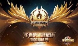 热情桑巴爆料视频