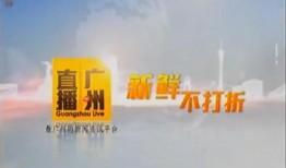爆料广州新闻事件,揭秘背后真相，引发社会关注