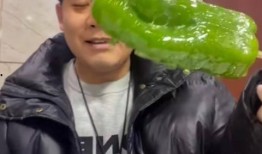 网红陈佩奇吃瓜视频,揭秘网红幕后生活
