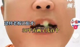 提灯定损房东最新爆料,行业内幕大曝光！