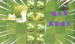 最新 植物爆料视频播放,最新爆料视频带你领略生命奇迹