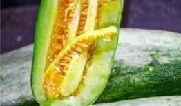 网红陈佩奇吃瓜视频,揭秘网红幕后生活