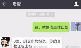 爆料有趣新闻视频,趣味新闻视频盘点