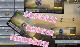 最近体验服爆料新闻,神秘英雄即将登场，游戏玩法再升级！