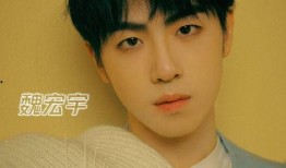 韩振宇前女友爆料视频,揭秘背后惊人真相