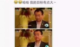 天涯爆料王平完整版视频,事件真相与背后故事深度剖析