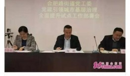 合肥头条今日爆料,揭秘背后惊人真相！