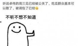 卓伟爆料新闻视频,揭秘娱乐圈惊天大事件