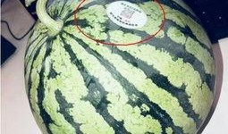 吃瓜网红高清头像图片,揭秘吃瓜网红高清头像背后的魅力