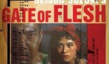 《肉体之门》在线观看,探索人性深处的欲望与挣扎