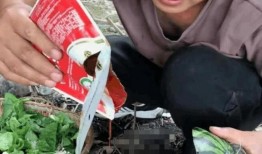 网红吃瓜跳舞是谁发明的,揭秘这一潮流舞蹈的发明者与起源