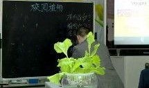 最新 植物爆料视频播放,最新爆料视频带你领略生命奇迹