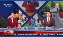 极目新闻爆料多少钱,巨额资金动向引发关注