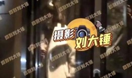 布希曼爆料视频,揭秘视频背后的惊人真相