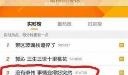 卓伟前程爆料视频,揭秘娱乐圈幕后真相