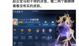 v8贵族皮肤最新爆料,奢华设计，引领潮流巅峰