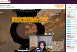 小龙先生被爆料视频,揭秘背后惊人真相
