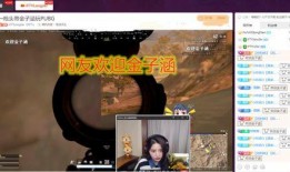 小龙先生被爆料视频,揭秘背后惊人真相