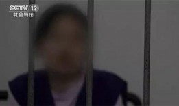 淮安饭店爆料事件始末视频,真相与争议的交织