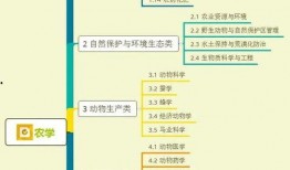 台州爆料订婚视频大全集,传统婚俗与现代风采的完美融合